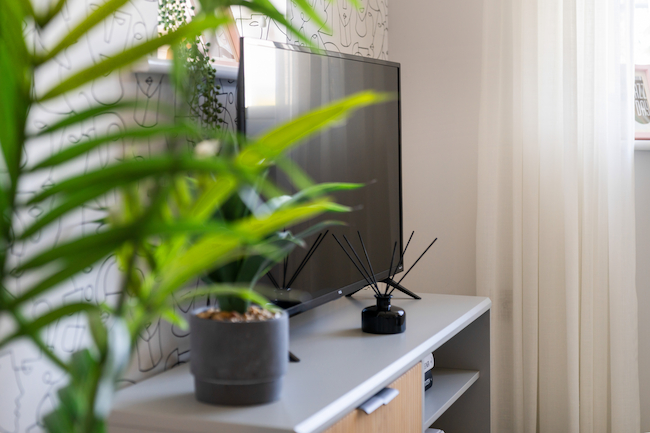 New build homes and properties for sale