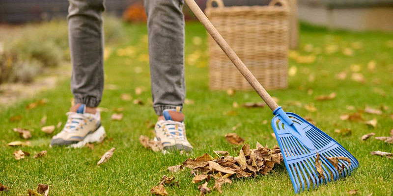 Five essential seasonal home maintenance tips
