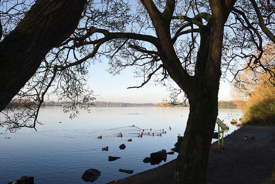 Parsonage - location L