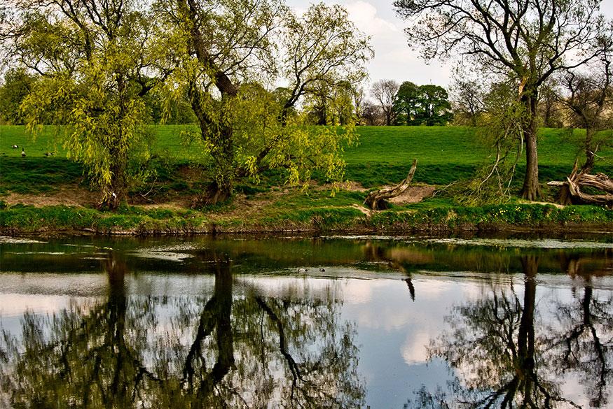 The Copse - Location image 2