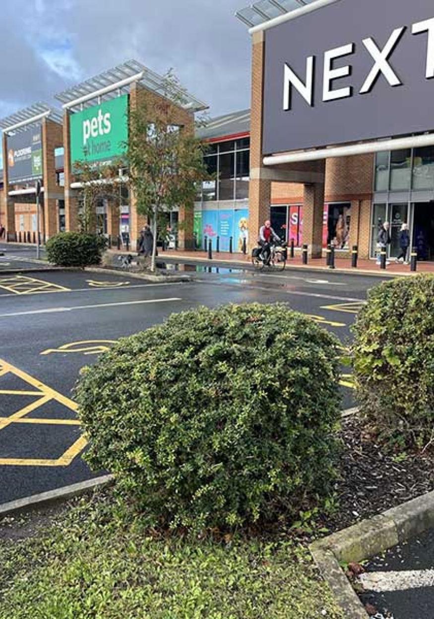 The Copse - location image 1