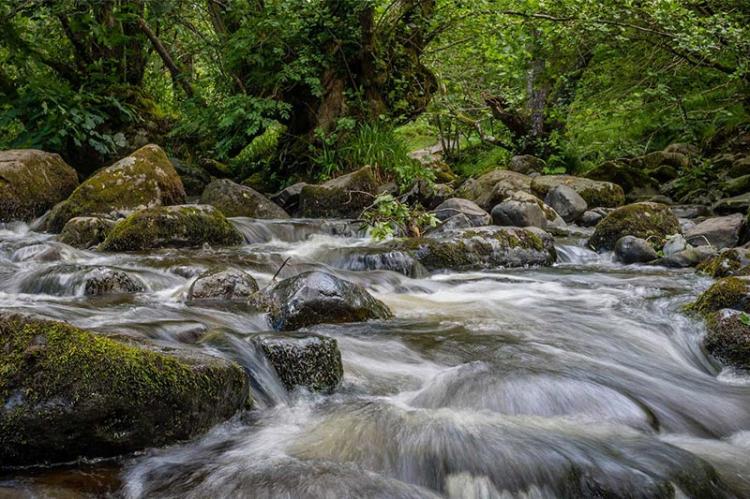 New to Cumbria Here's what you need to know