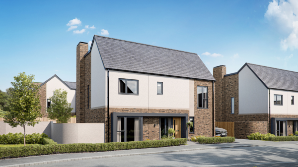 The Newton Wildhouse Meadows