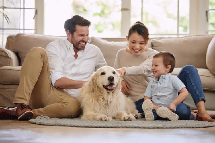 Parents sitting on living room floor for dog and child