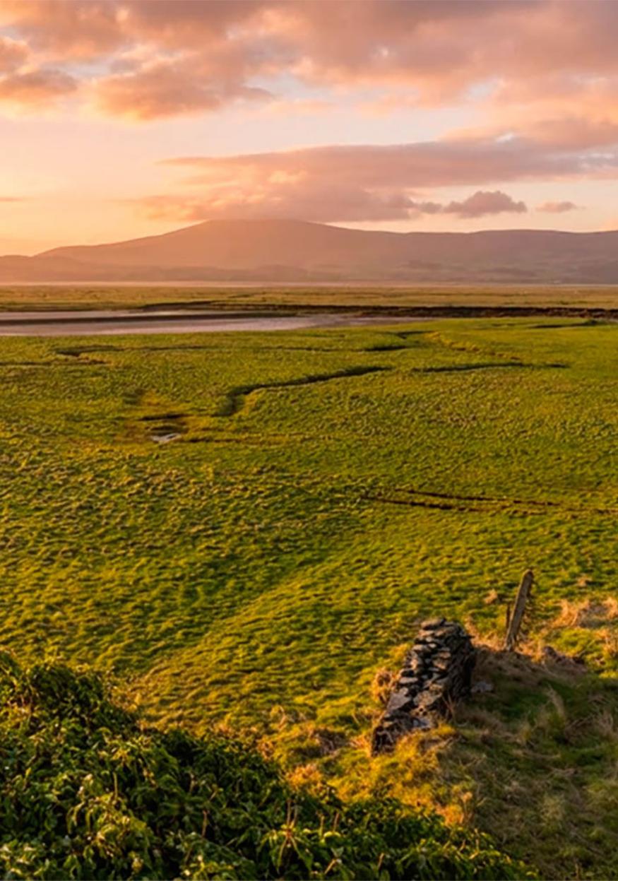 Burlington Rise - location R