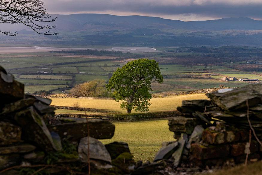 Burlington Rise - Location L