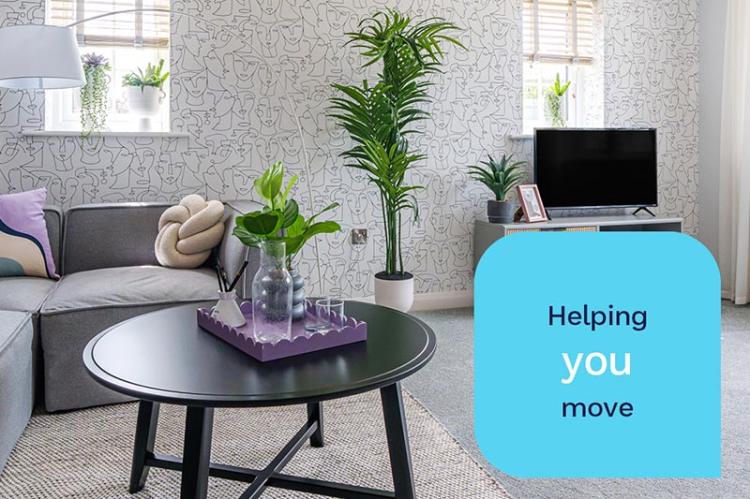 What buying schemes are offered by Lancet Homes